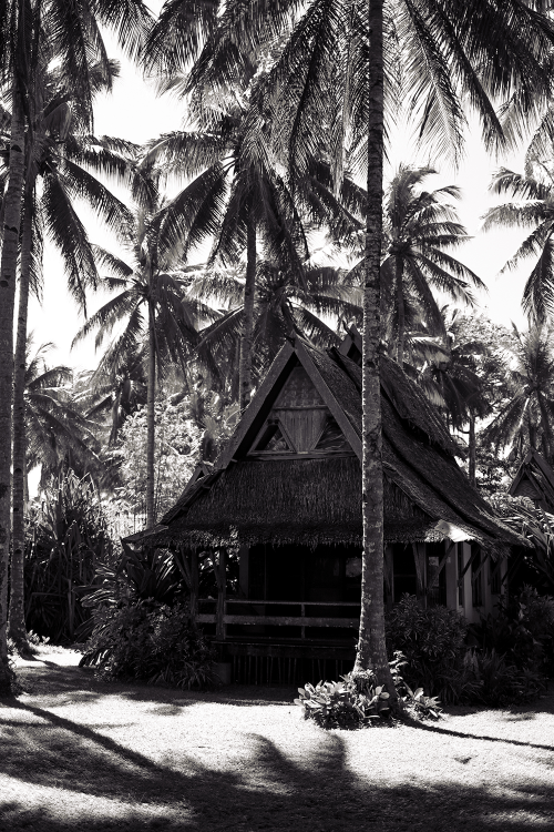 Siargao Hut Vibes